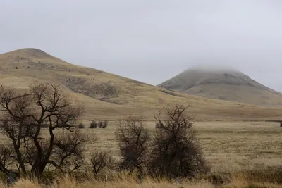 DSC_3141 (Large).JPG